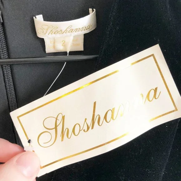 New Velvet Fit & Flare Princess Midi Dress Pleated Ruched Whimsigoth Dark Formal - Picture 7 of 9